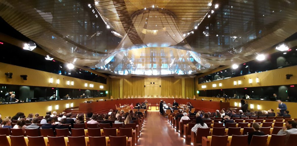 Prozessführung Vertretung vor dem Europäischen Gerichtshof (EuGH) und dem Gericht der Europäischen Union (EuG) litigation CJEU ECJ GC General Court European Court of Justice